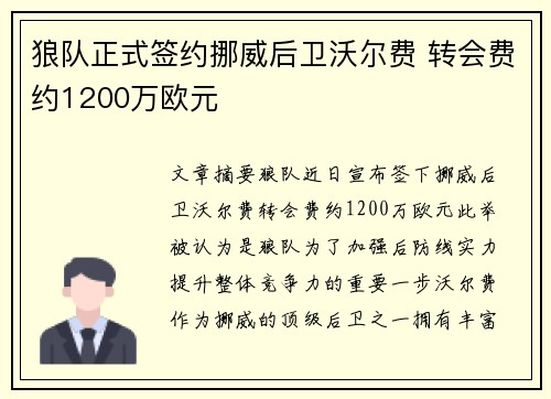 狼队正式签约挪威后卫沃尔费 转会费约1200万欧元